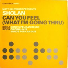 Matt Schwartz Pres. Sholan - Matt Schwartz Pres. Sholan - Can You Feel (What I'm Going Thru)(Disc 2) - Data