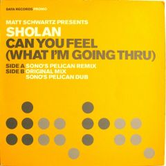 Matt Schwartz Pres. Sholan - Matt Schwartz Pres. Sholan - Can You Feel (What I'm Going Thru)(Disc 2) - Data