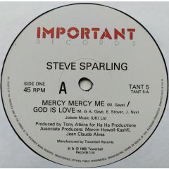 Steve Sparling - Steve Sparling - Mercy Mercy Me/God Is Love - Important Records