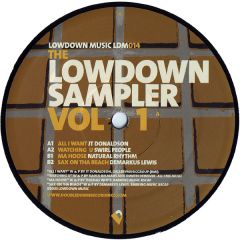 Various Artists - Various Artists - Sampler Vol 1 - Lowdown Music