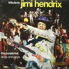 The Purple Fox - The Purple Fox - Tribute To Jimi Hendrix - Stereo Gold Award
