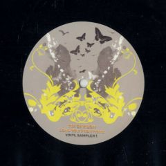 Tim Davidson - Tim Davidson - Long Way From Home - Album Sampler 1 - Baroque Special
