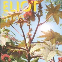 Eliot - Eliot - Shine - Critical Mass