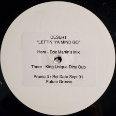 Desert - Desert - Lettin'Ya Mind Go (Promo 3) - Future Groove