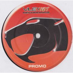 Wiley Kat (Pay As U Go) - Wiley Kat (Pay As U Go) - They Should Know - Wiley Kat Recordings
