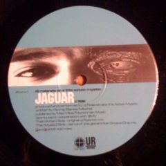 DJ Rolando - DJ Rolando - Jaguar - 430 West