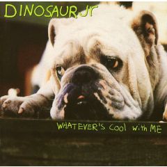 Dinosaur Jr - Dinosaur Jr - Whatever's Cool With Me - Blanco Y Negro