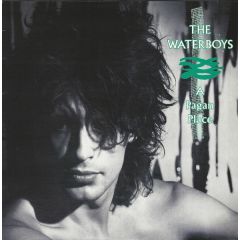 The Waterboys - The Waterboys - A Pagan Place - Ensign