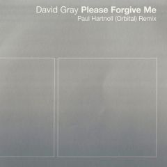 David Gray - David Gray - Please Forgive Me (Ph Remixes) - East West