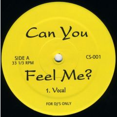 Raphael Saadiq - Raphael Saadiq - Can U Feel Me (House Remixes) - Yellow Cs