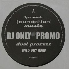 Dual Process - Dual Process - Wild Out There - Foundation