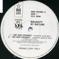 Naughty By Nature - Naughty By Nature - Hip Hop Hooray (Sunship Remixes) - Tommy Boy