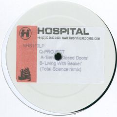 Q-Project - Q-Project - Renaissance Man - Hospital Records