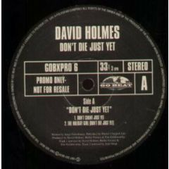 David Holmes - David Holmes - Don't Die Just Yet - Go Beat