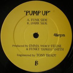 Emma Feline & Funky Smith - Emma Feline & Funky Smith - Pump Up - Stereo Therapy