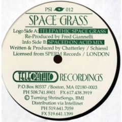 Space Grass - Space Grass - Telepathic Space Grass - Telepathic Recordings