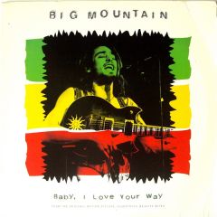 Big Mountain - Big Mountain - Baby, I Love Your Way - RCA