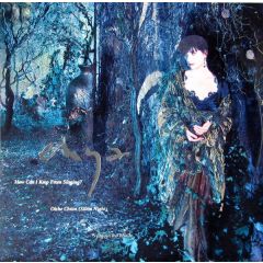 Enya  - Enya  - How Can I Keep From Singing? - WEA