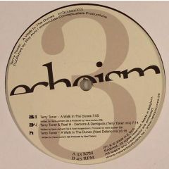 Terry Toner - Terry Toner - A Walk In The Dunes - Echoism 3