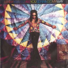 Lenny Kravitz - Lenny Kravitz - Are You Gonna Go My Way - Virgin America