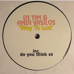 DJ Tim & Andi Vasilos - DJ Tim & Andi Vasilos - Way To Lust - Babylon