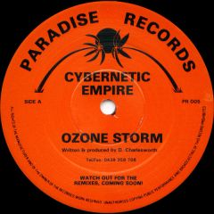 Cybernetic Empire - Cybernetic Empire - Ozone Storm - Paradise Records