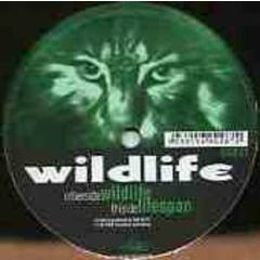 Wildlife - Wildlife - Wildlife - UG
