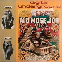 Digital Underground - Digital Underground - No Nose Job - Tommy Boy