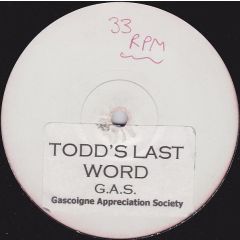 Todd Terry & Voices Of Life - Todd Terry & Voices Of Life - Todd's Last Word - White