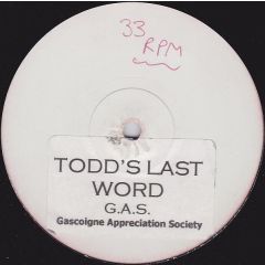 Todd Terry & Voices Of Life - Todd Terry & Voices Of Life - Todd's Last Word - White