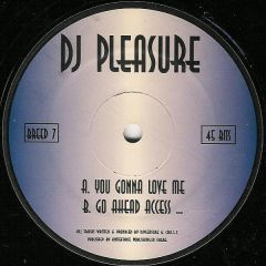 DJ Pleasure - DJ Pleasure - You Gonna Love Me - Knitebreed