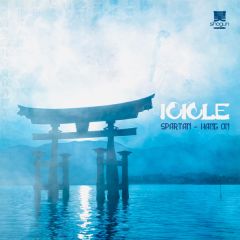 Icicle - Icicle - Spartan / Hang On - Shogun Audio