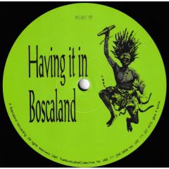 Jon The Dentist - Jon The Dentist - Having It In Boscaland - Boscaland Recordings