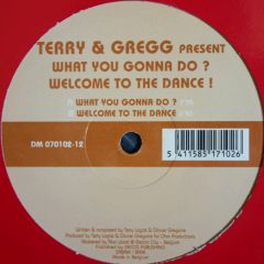 Terry & Gregg - Terry & Gregg - What You Gonna Do ? - Discomatic