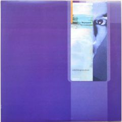 Roni Size / Reprazent - Roni Size / Reprazent - Watching Windows - Talkin Loud