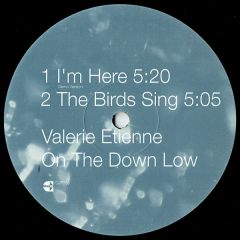 Valerie Etienne - Valerie Etienne - On The Down Low - Clean Up 