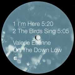 Valerie Etienne - Valerie Etienne - On The Down Low - Clean Up 