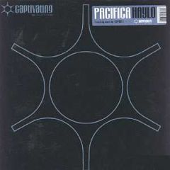 Pacifica - Pacifica - Haylo - Captivating