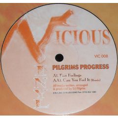 DJ Pilgrim - DJ Pilgrim - Fast Feelings - Vicious Vinyl