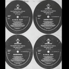 Heartrhythm Feat. Ladeeva Wright - Heartrhythm Feat. Ladeeva Wright - You Gotta Move - Undiscovered
