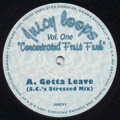 Concentrated Fruit Funk - Concentrated Fruit Funk - Vol. One - Juicy Loops