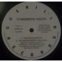 Cybernetic Youth - Cybernetic Youth - Technowarrior - Guerilla