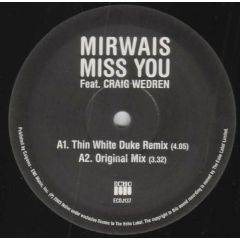 Mirwais Ft Craig Wedren - Mirwais Ft Craig Wedren - Miss You - Echo