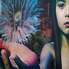 Future Sound Of London - Future Sound Of London - Lifeforms Album - Virgin