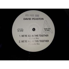 David Peaston - David Peaston - We'Re All In This Together - White