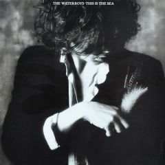 The Waterboys - The Waterboys - This Is The Sea - Ensign