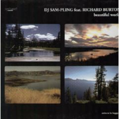 DJ Sam-Pling Feat. Richard Burton - DJ Sam-Pling Feat. Richard Burton - Beautiful World - Upbeat Records