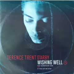 Terence Trent D'Arby - Terence Trent D'Arby - Wishing Well (The Darbinian Mix) - CBS