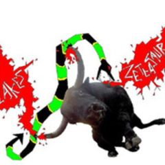 Lakes - Lakes - Zettasaur - Signature Tune