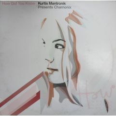 Kurtis Mantronik Pres Chamonix - Kurtis Mantronik Pres Chamonix - How Did You Know (Disc I) - Southern Fried